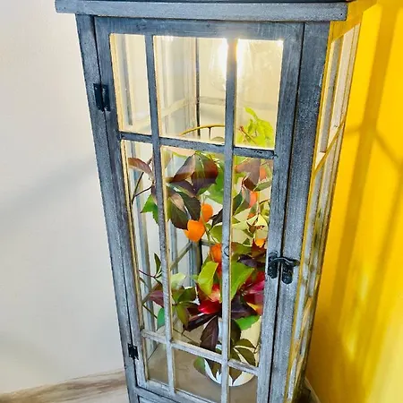 Apartman Kezmarok 公寓 盖兹马洛克